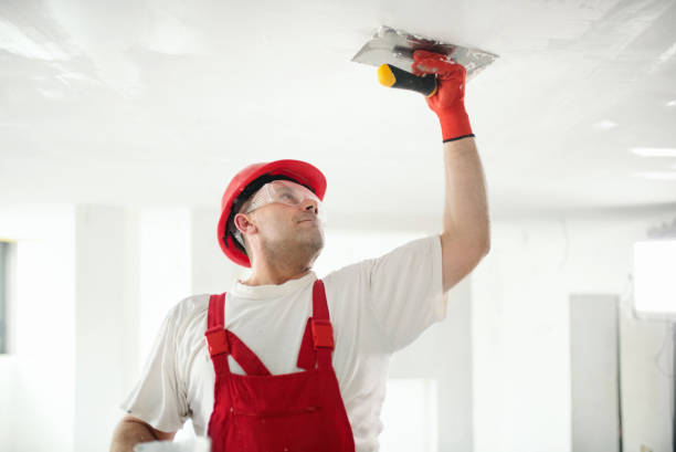 Best Drywall Patching  in Justice, IL